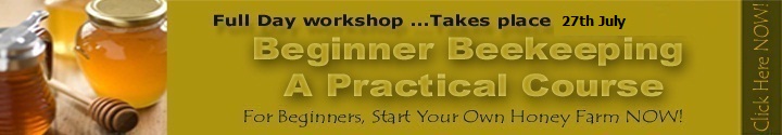 Beekeeping course 29th Sept near Lanseria